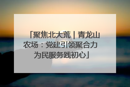 聚焦北大荒｜青龙山农场：党建引领聚合力 为民服务践初心