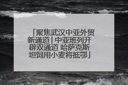 聚焦武汉中亚外贸新通道│中亚班列开辟双通道 哈萨克斯坦饲用小麦将抵鄂