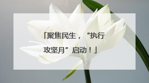 聚焦民生，“执行攻坚月”启动！