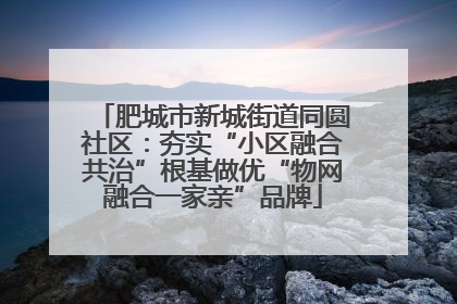 肥城市新城街道同圆社区：夯实“小区融合共治”根基做优“物网融合一家亲”品牌