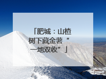 肥城：山楂树下藏金薯“一地双收”