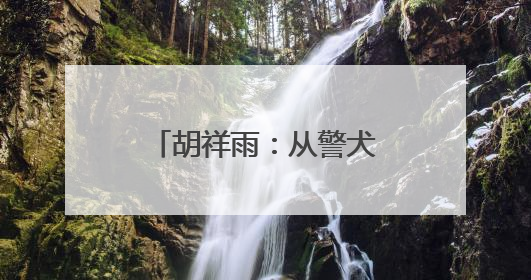 胡祥雨：从警犬专家到打拐先锋的团圆守护者｜百年工运·劳模说