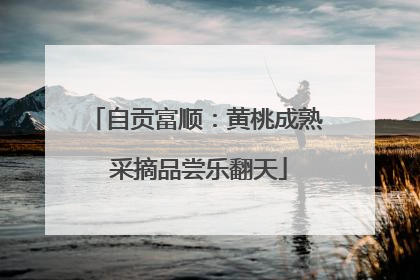 自贡富顺：黄桃成熟 采摘品尝乐翻天