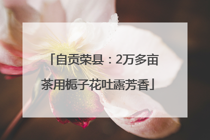自贡荣县：2万多亩茶用栀子花吐露芳香