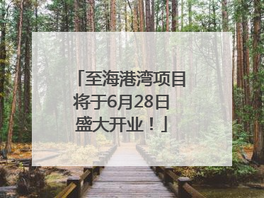 至海港湾项目将于6月28日盛大开业！