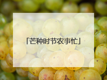 芒种时节农事忙