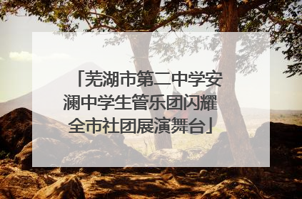 芜湖市第二中学安澜中学生管乐团闪耀全市社团展演舞台