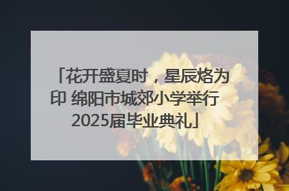 花开盛夏时，星辰烙为印 绵阳市城郊小学举行2025届毕业典礼