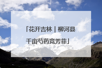 花开吉林｜柳河县千亩芍药竞芳菲