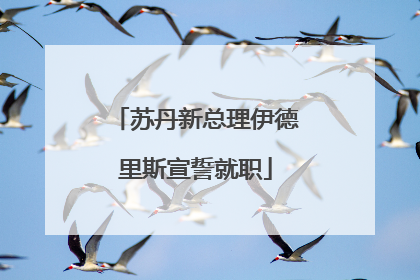 苏丹新总理伊德里斯宣誓就职