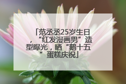 范丞丞25岁生日，“红发漫画男”造型曝光，晒“鹅十五”蛋糕庆祝