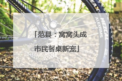 范县：窝窝头成市民餐桌新宠