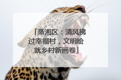 蒸湘区：清风拂过幸福村，文明绘就乡村新画卷