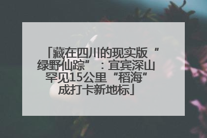 藏在四川的现实版“绿野仙踪”：宜宾深山罕见15公里“稻海”成打卡新地标