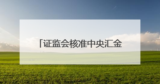 证监会核准中央汇金成为8家公司实控人