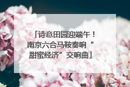 诗意田园迎端午！南京六合马鞍奏响“甜蜜经济”交响曲