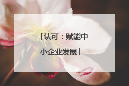 认可：赋能中小企业发展