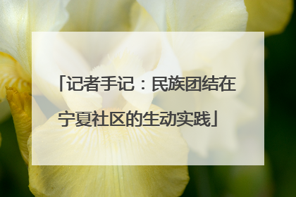 记者手记：民族团结在宁夏社区的生动实践