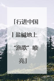 行进中国丨盐碱地上“渔歌”嘹亮