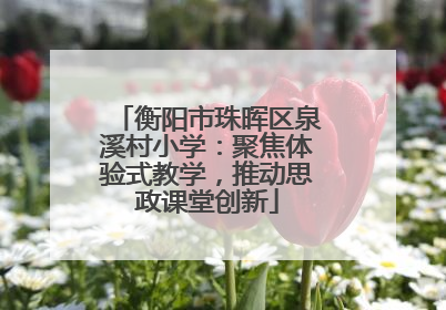 衡阳市珠晖区泉溪村小学：聚焦体验式教学，推动思政课堂创新