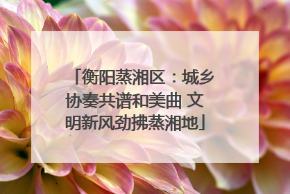 衡阳蒸湘区：城乡协奏共谱和美曲 文明新风劲拂蒸湘地