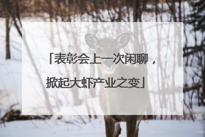 表彰会上一次闲聊，掀起大虾产业之变
