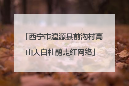 西宁市湟源县前沟村高山大白杜鹃走红网络