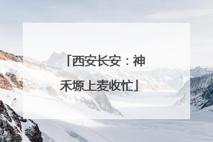 西安长安：神禾塬上麦收忙