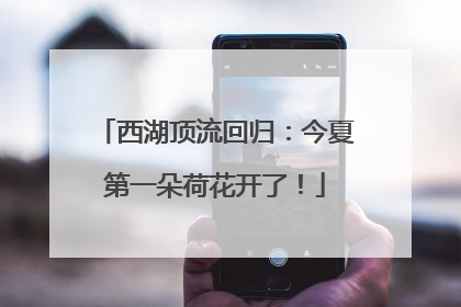 西湖顶流回归：今夏第一朵荷花开了！