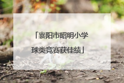 襄阳市昭明小学球类竞赛获佳绩