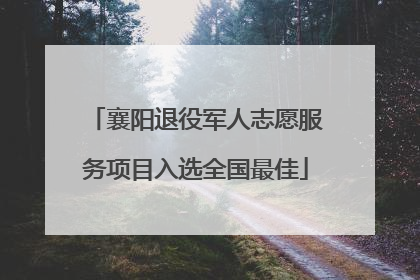 襄阳退役军人志愿服务项目入选全国最佳