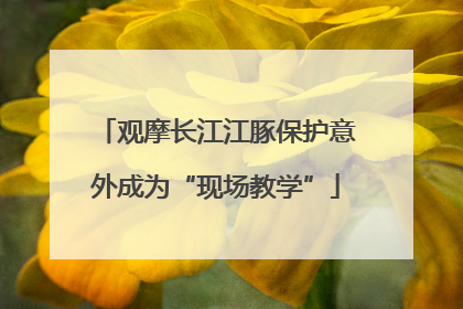 观摩长江江豚保护意外成为“现场教学”