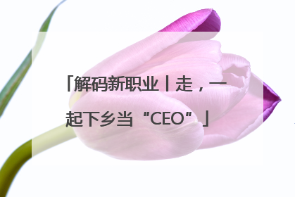 解码新职业丨走，一起下乡当“CEO”