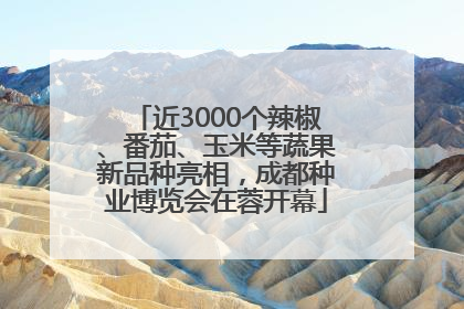 近3000个辣椒、番茄、玉米等蔬果新品种亮相，成都种业博览会在蓉开幕