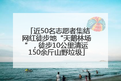 近50名志愿者集结网红徒步地“天鹅林场”，徒步10公里清运150余斤山野垃圾