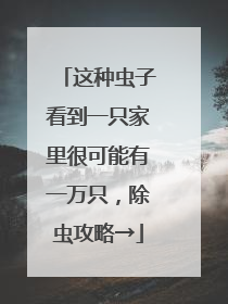 这种虫子看到一只家里很可能有一万只，除虫攻略→