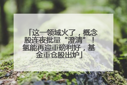 这一领域火了，概念股连夜批量“澄清”！氢能再迎重磅利好，基金重仓股出炉