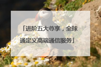 进阶五大尊享，全球通定义高端通信服务