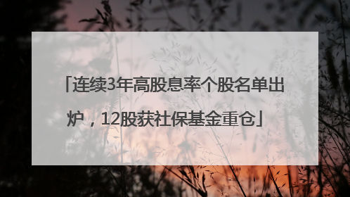 连续3年高股息率个股名单出炉，12股获社保基金重仓