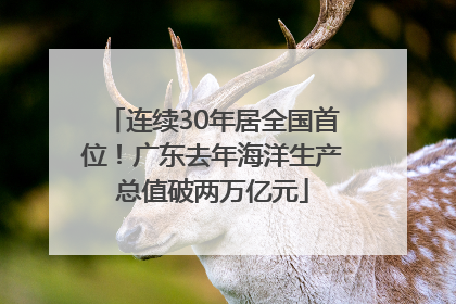 连续30年居全国首位！广东去年海洋生产总值破两万亿元