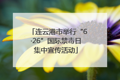 连云港市举行“6·26”国际禁毒日集中宣传活动