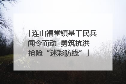 连山福堂镇基干民兵闻令而动  勇筑抗洪抢险“迷彩防线”