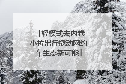 轻模式去内卷 小拉出行撬动网约车生态新可能
