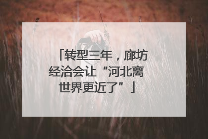 转型三年，廊坊经洽会让“河北离世界更近了”