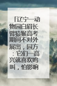 辽宁一动物园白眉长臂猿猴高考期间不对外展出，园方：它们一高兴就喜欢鸣叫，怕影响考试