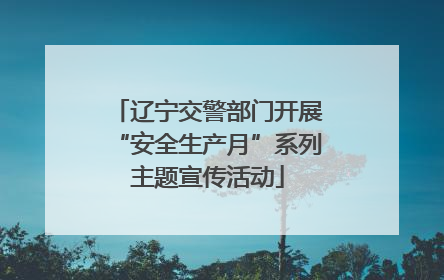 辽宁交警部门开展“安全生产月”系列主题宣传活动