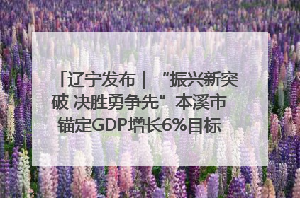 辽宁发布｜“振兴新突破 决胜勇争先”本溪市锚定GDP增长6%目标推进十项重点工作