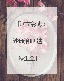 辽宁彰武：沙地治理 造绿生金