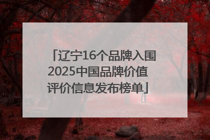 辽宁16个品牌入围2025中国品牌价值评价信息发布榜单