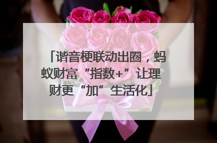 谐音梗联动出圈，蚂蚁财富“指数+”让理财更“加”生活化